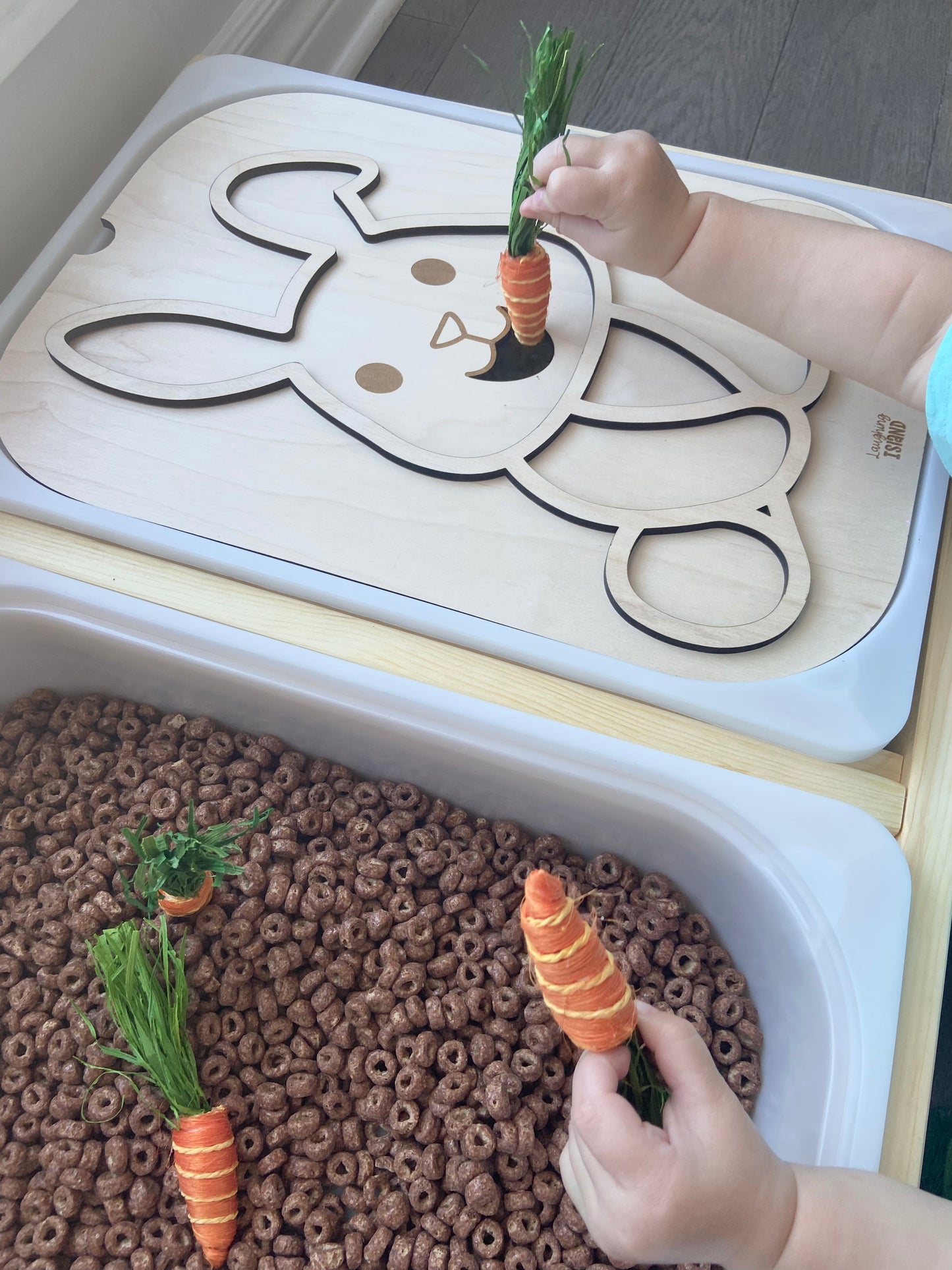 Hungry Bunny | Sensory lid